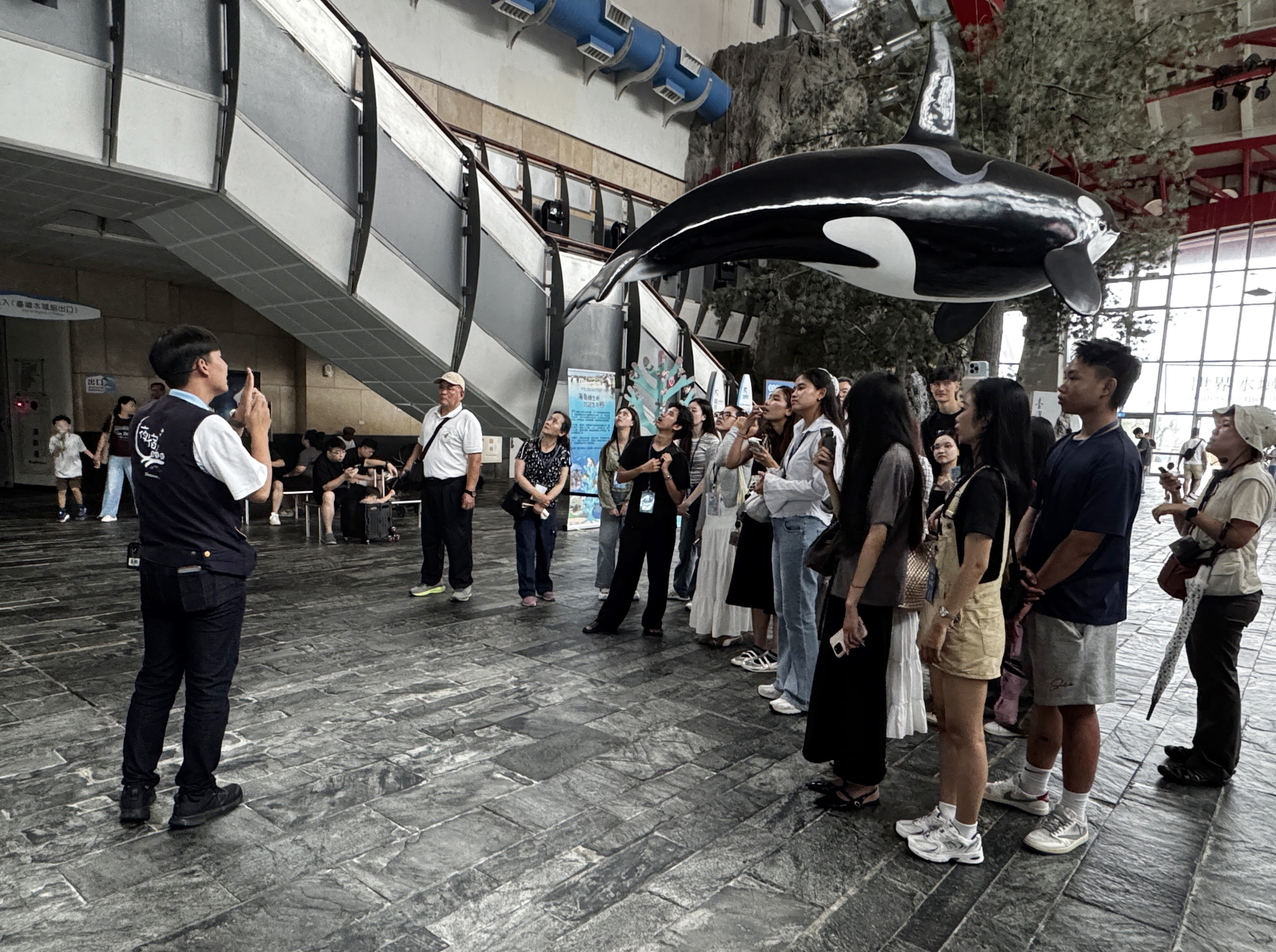 A guide introducing marine animals to international students